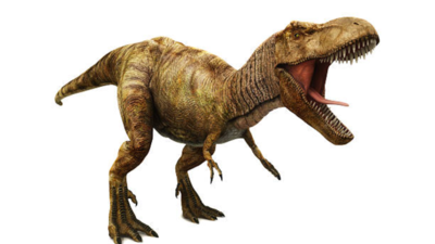 Dragon Prince: New dinosaur species, the ‘Dragon Prince’, discovered — what did it look like? |