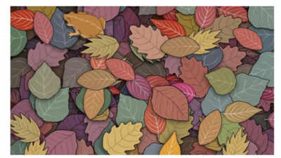 Optical illusion: Think you have sharp eyesight? Spot the frog in this picture in under 5 seconds!