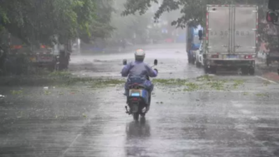 Five dead, two missing in Typhoon Wutip in central Vietnam, farmlands flooded; reaches southern China