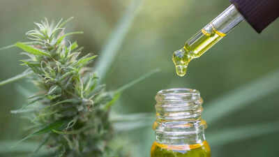 What is CBD oil: Know its health benefits, uses, and scientific backing behind the cannabinoid trend |