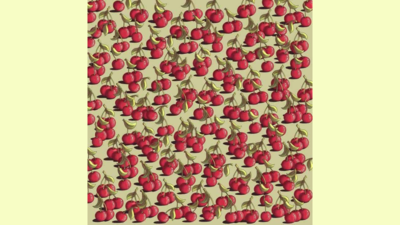 Optical Illusion: Only the one with the sharpest eyes can spot the tomato among cherries |