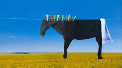 Optical illusion personality test: Horse or clothes? What you spot first reveals if you are carefree or too careful