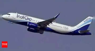 Bomb hoax on Kochi-Delhi IndiGo flight