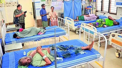 70-year-old woman dies after suspected poisonous bite in Karnataka; police register case | Mangaluru News