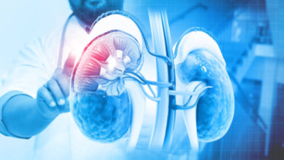 Does creatine cause hair loss? Let’s separate myths from science