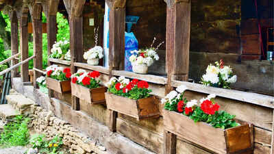 10 creative planter ideas to add a unique touch to your garden |