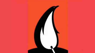Optical illusion personality test: Penguin or flame? What you spot first reveals if you have a big heart or big dreams |