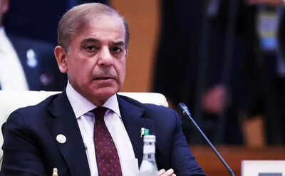 ‘Must be an embarrassment’: Defence secretary’s jibe at Shahbaz Sharif over Trump-Munir lunch; warns of China-Turkey nexus | India News