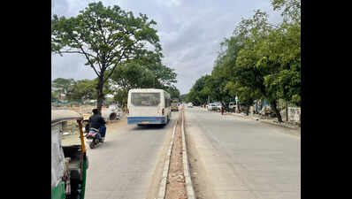 CURSE OF CONCRETE | Bengaluru News