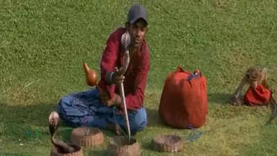 Bizarre! Fan shows up with two cobras and a monkey during Test match – viral moment | Cricket News