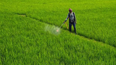 Agrochem market may hit .5 bn by FY28; herbicide exports jump; sector set for 9% CAGR: Report