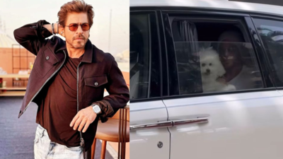 Shah Rukh Khan enjoys a Sunday drive in a luxurious Rs 10 crore car, but his adorable dog steals the spotlight: PICS | Hindi Movie News