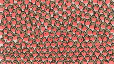 Optical Illusion: Just 1% of people can spot the two hearts in this robin challenge in 5 seconds, can you? |