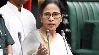 ‘They are not Bangladeshis’: Mamata says Bengal migrants wrongfully held; slams BJP | India News
