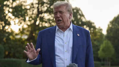 Trump’s ‘big, beautiful bill’: How US president could change America’s immigration system – the wall, ICE & more