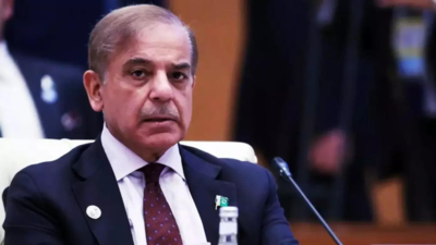 ‘Ready to engage in meaningful dialogue’: Pakistan PM Shehbaz Sharif seeks talks with India; highlights unresolved issues