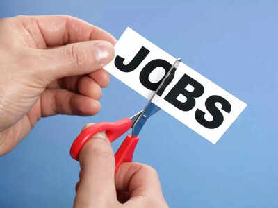 These 5 jobs are vanishing silently, warns WEF report: Is yours next?