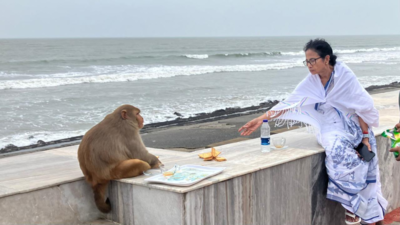 ‘Tea by the sea’: West Bengal CM Mamata Banerjee’s photo with monkey goes viral – see pics | India News
