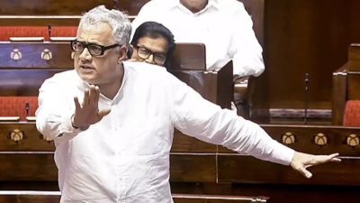 ‘Trying to bring NRC in from back door’: Derek O’Brien targets Election Commission; cites ‘Nazi Ancestor Pass’ | India News