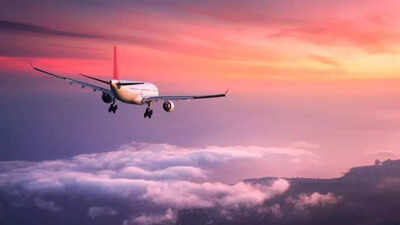 Husband-wife tiff turns ugly on Delhi-bound flight; man handed over to security on arrival | India News