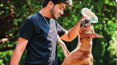 Trained for trouble: Why exotic dogs need ‘paw-sitive’ parenting | Hyderabad News