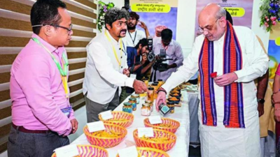 ‘Drop guns & join mainstream’: Amit Shah rules out talks with Reds | India News