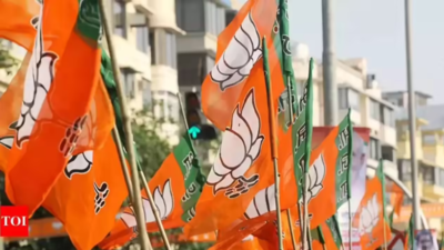 BJP new chief likely by mid-July with state units nearly in place | India News