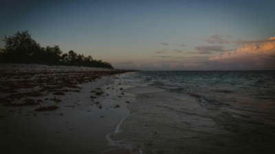 UN summit to end with boost for ocean conservation |