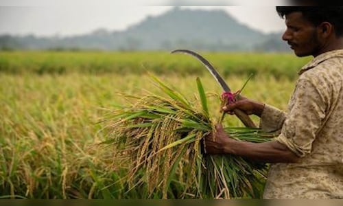 Indogulf Cropsciences IPO opens today: Should you subscribe to the issue or avoid?