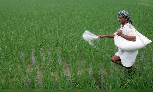 China’s specialty fertilisers export ban creates price pressure, not supply disruption: Elara Securities’ Prashant Biyani