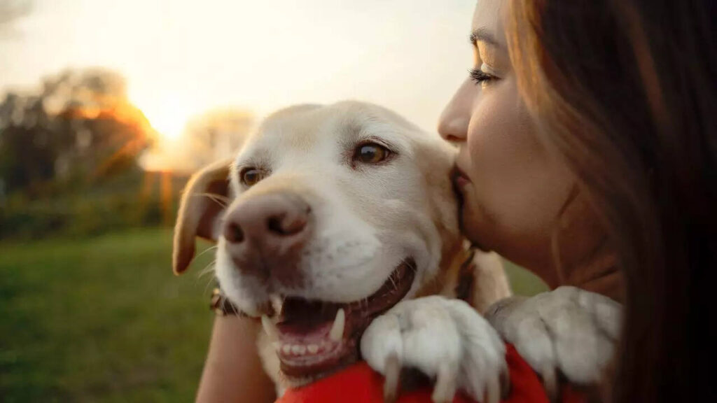 5 friendliest dog breeds that (almost) never bite— Perfect for families!