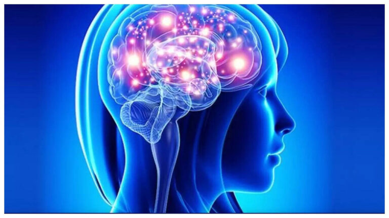 The 5 best brain improvement supplements