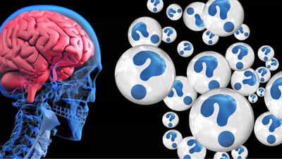 These evening foods and drinks could harm your brain health and increase Alzheimer’s risk |