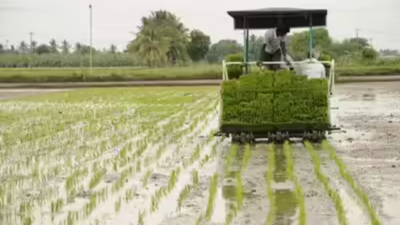 Total sown area this monsoon: Kharif sowing jumps 11.3% on strong monsoon; rice and pulses lead acreage surge