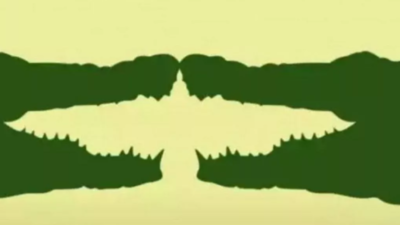 Optical Illusion— What you see first in this pic reveals your hidden strengths |