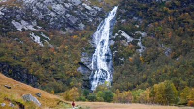 This viral optical illusion reveals whether one is open-hearted or guarded—Let’s test it !