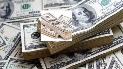Forex watch: Forex reserves jump .84 billion to 2.78 billion, overall kitty inches closer to all-time high