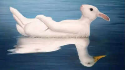 Optical illusion personality test: Duck or rabbit? What you see first reveals if you’re more charming or intellectual