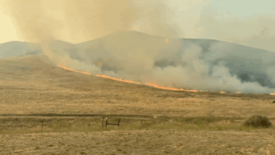 California’s Madre wildfire explodes; scorching over 70,800 acres of land, fire officials warn of ‘extreme’ weather conditions | World News