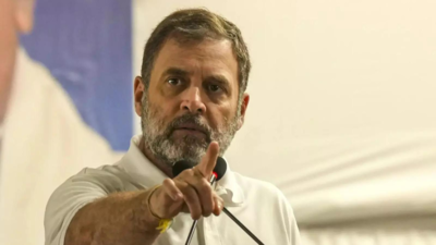 ‘AICC tried to revive AJL’: Rahul Gandhi’s counsel in Herald case | India News