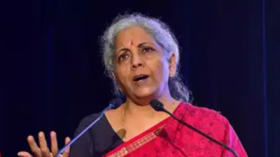 Brics policy voice: FM Sitharaman calls for credible reforms amid global institutional crisis, India cites domestic resilience and macro strategy at Rio meet