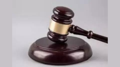 Delhi HC nixes Celebi’s plea against Centre’s curbs | India News