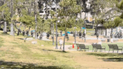 On horseback, heavily armed: Feds storm LA’s MacArthur Park only to find it empty – watch