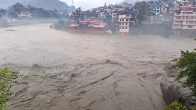 How a dog saved a village in Mandi amid flash floods | India News