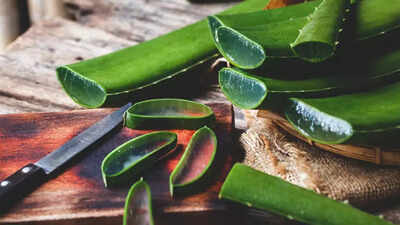 How to make aloe vera gel at home? 5 easy steps for thicker, shinier hair |
