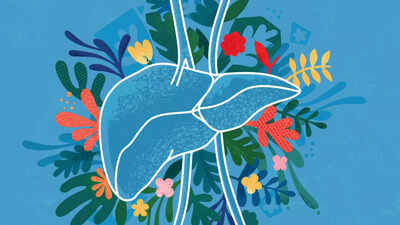 9 things about the liver a Harvard doc wants everyone to know |