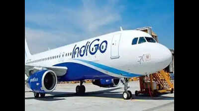 Patna Airport Emergency Landing: Delhi-bound IndiGo A320 flight makes emergency landing in Patna after bird hit | Patna News