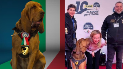 ‘You will pay for it’: Hero Italian police dog killed after eating metal nail spiked sausages; PM Giorgia Meloni slams ‘cowardly act’