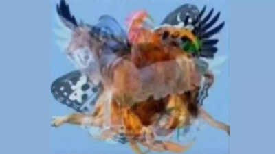 Optical illusion personality test: The animal you see first reveals your true nature