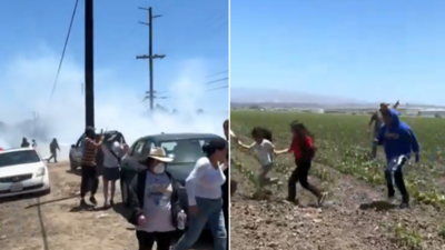 ‘He’s the real scum’: California governor Gavin Newsom hits back at Donald Trump – shares video of chaotic fed raids